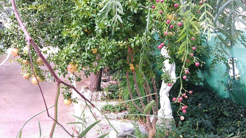 Alojamiento Rural La Caseria De Piedra Restaurante Jaén Kültér fotó